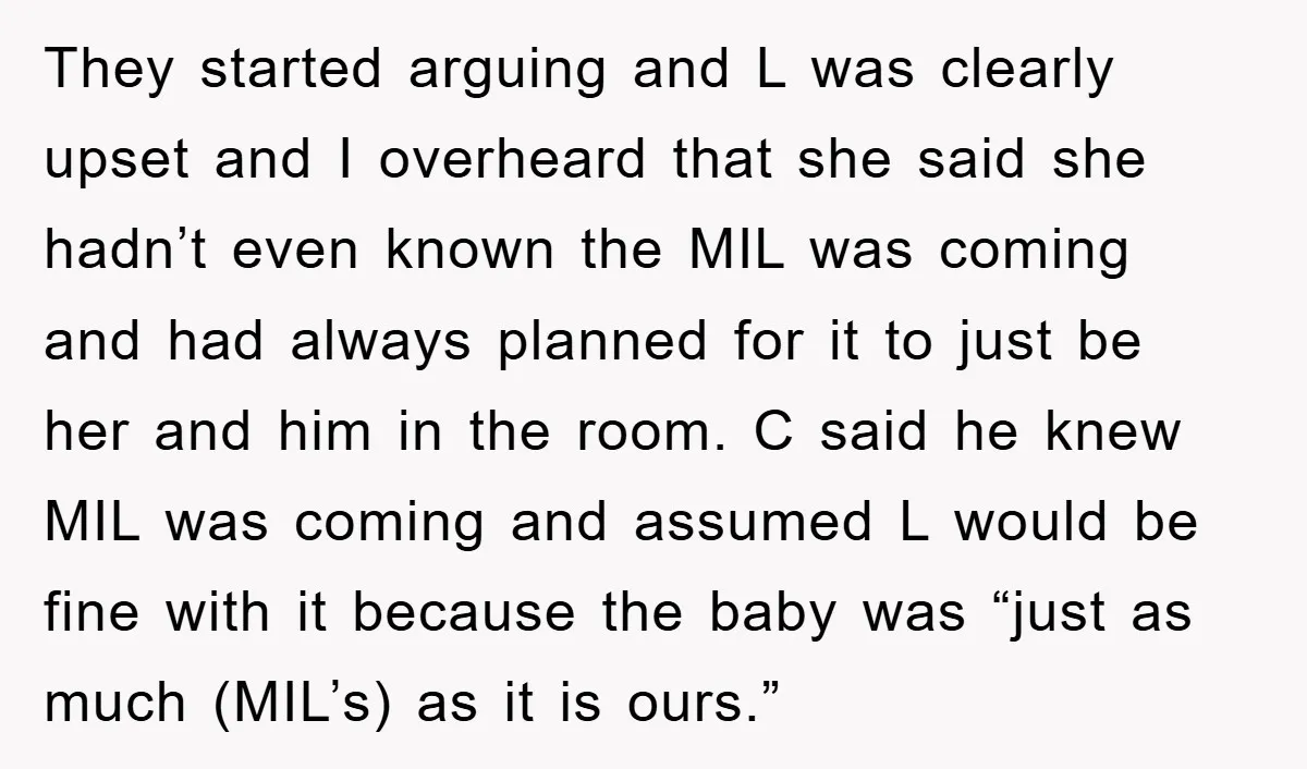 They started arguing and L was clearly upset and I overheard that she said she hadn’t even known the MIL was coming and had always planned for it to just...