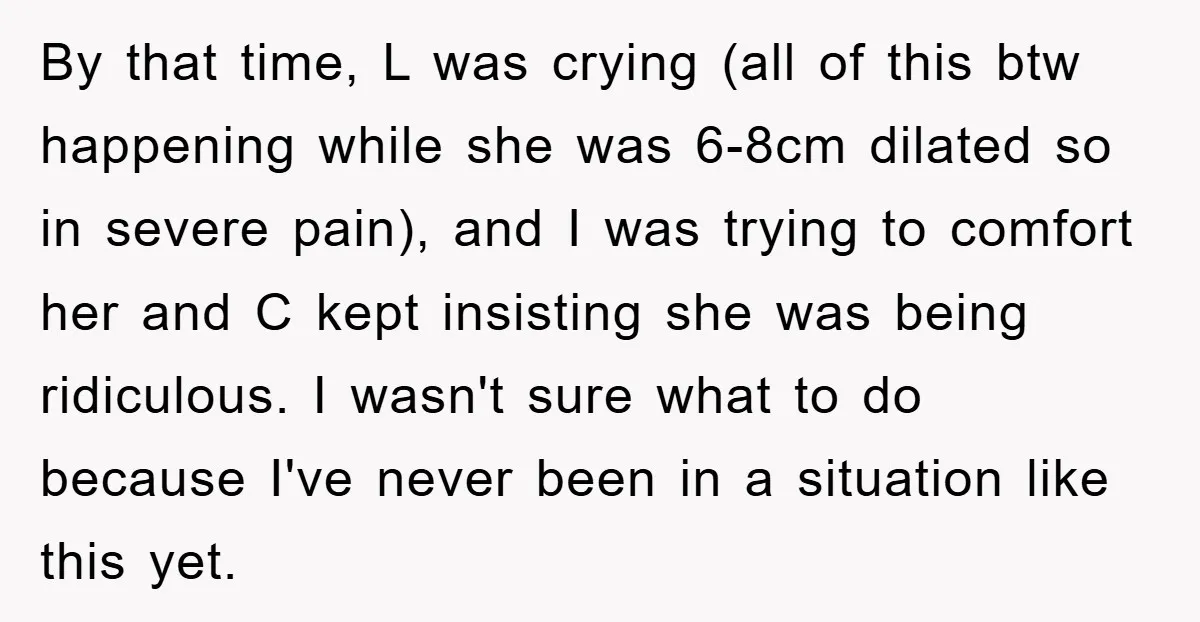 By that time, L was crying (all of this btw happening while she was 6-8cm dilated so in severe pain), and I was trying to comfort her and C kept...