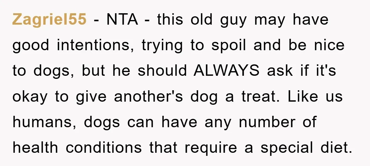 Zagriel55 − NTA - this old guy may have good intentions, trying to spoil and be nice to dogs, but he should ALWAYS ask if it's okay to give another's...