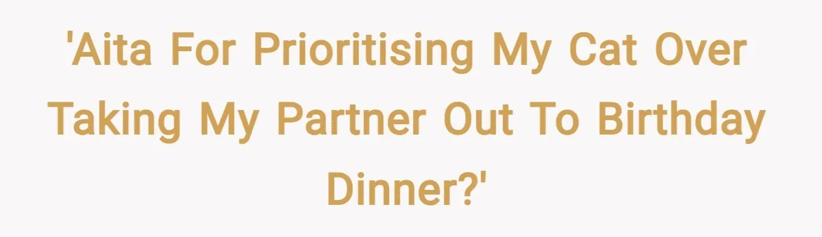 'AITA for prioritising my cat over taking my partner out to birthday dinner?'
