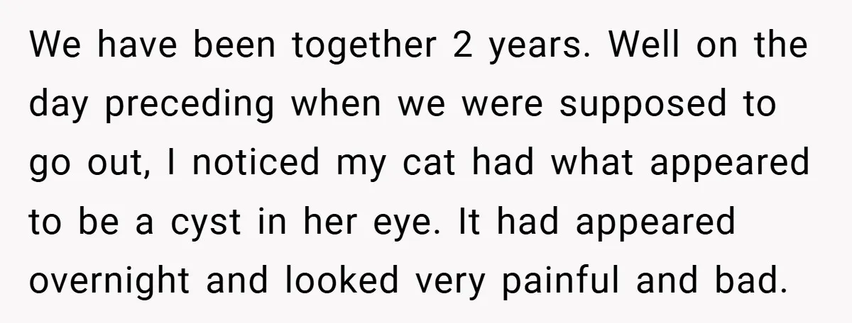 We have been together 2 years. Well on the day preceding when we were supposed to go out, I noticed my cat had what appeared to be a cyst in...