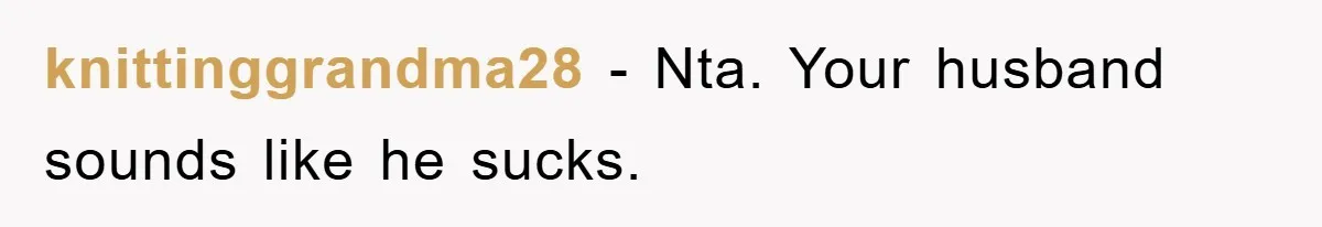 knittinggrandma28 − Nta. Your husband sounds like he sucks.
