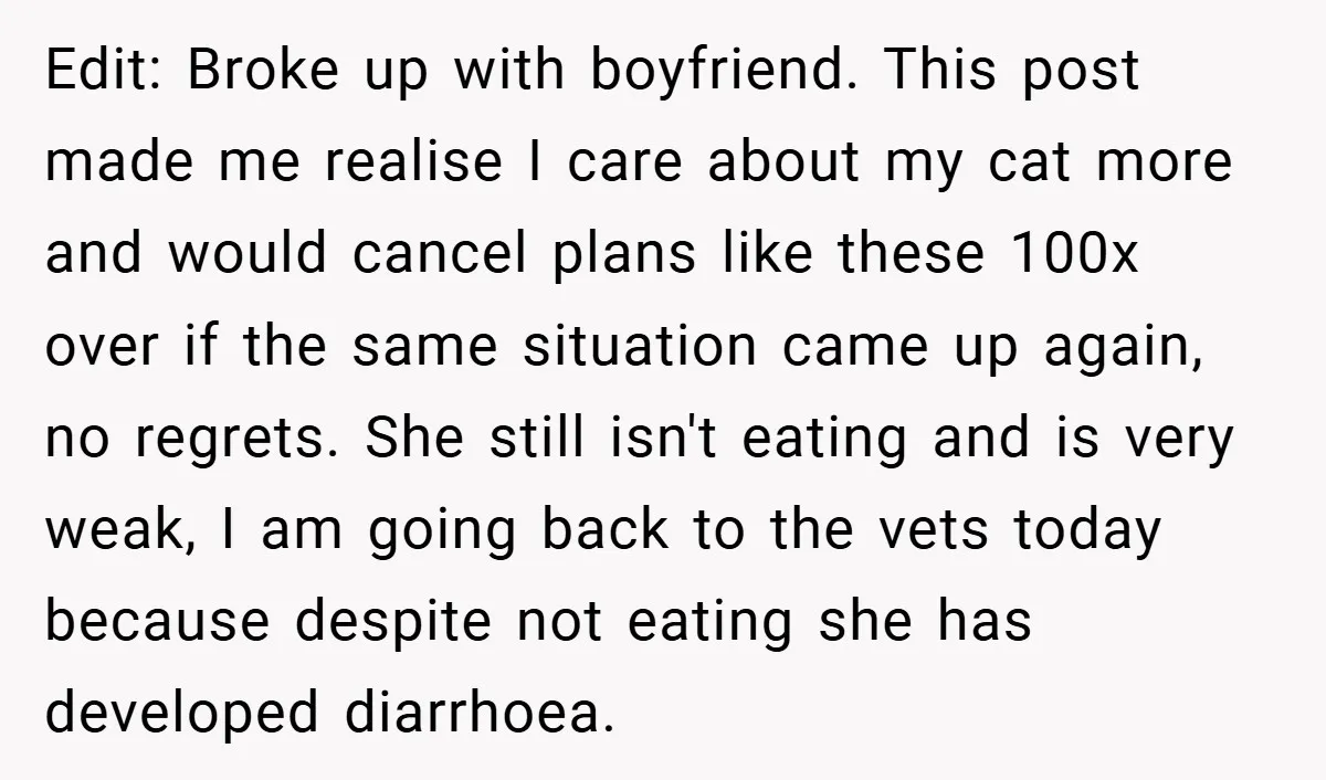 Edit: Broke up with boyfriend. This post made me realise I care about my cat more and would cancel plans like these 100x over if the same situation came up...