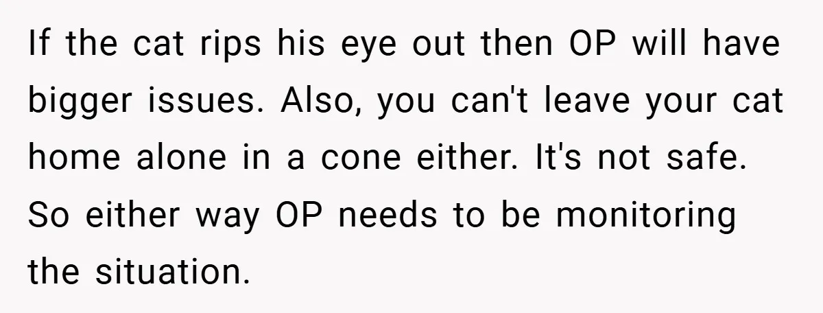 If the cat rips his eye out then OP will have bigger issues. Also, you can't leave your cat home alone in a cone either. It's not safe. So either...
