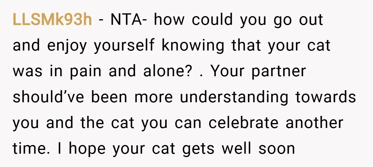 LLSMk93h − NTA- how could you go out and enjoy yourself knowing that your cat was in pain and alone? . Your partner should’ve been more understanding towards you and...