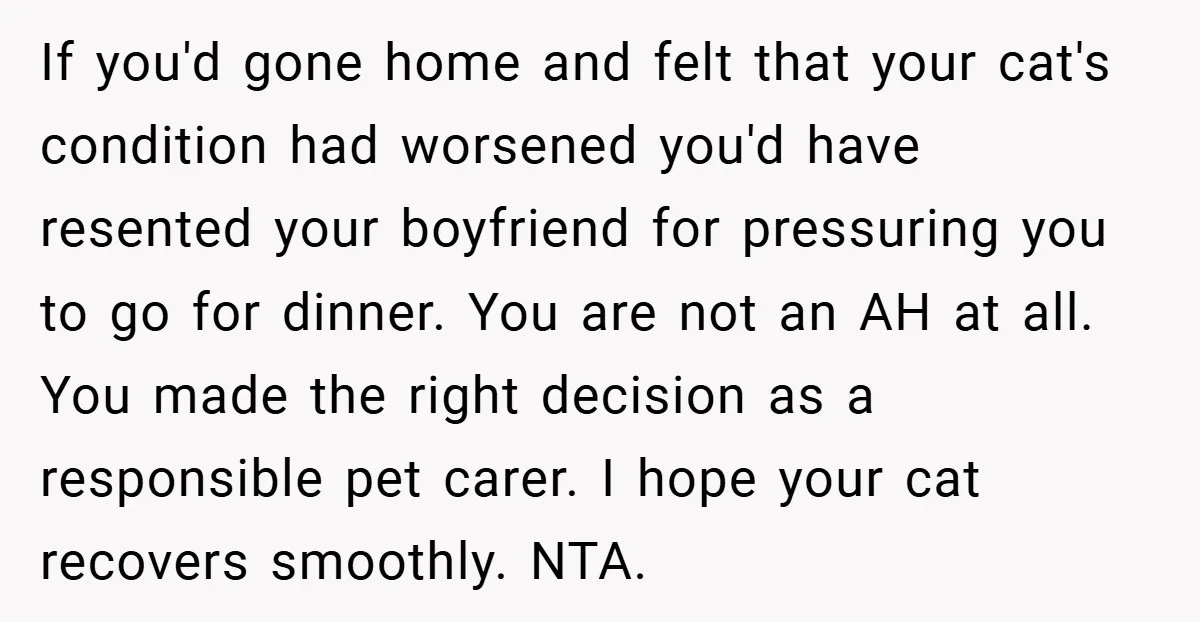 If you'd gone home and felt that your cat's condition had worsened you'd have resented your boyfriend for pressuring you to go for dinner. You are not an AH at...