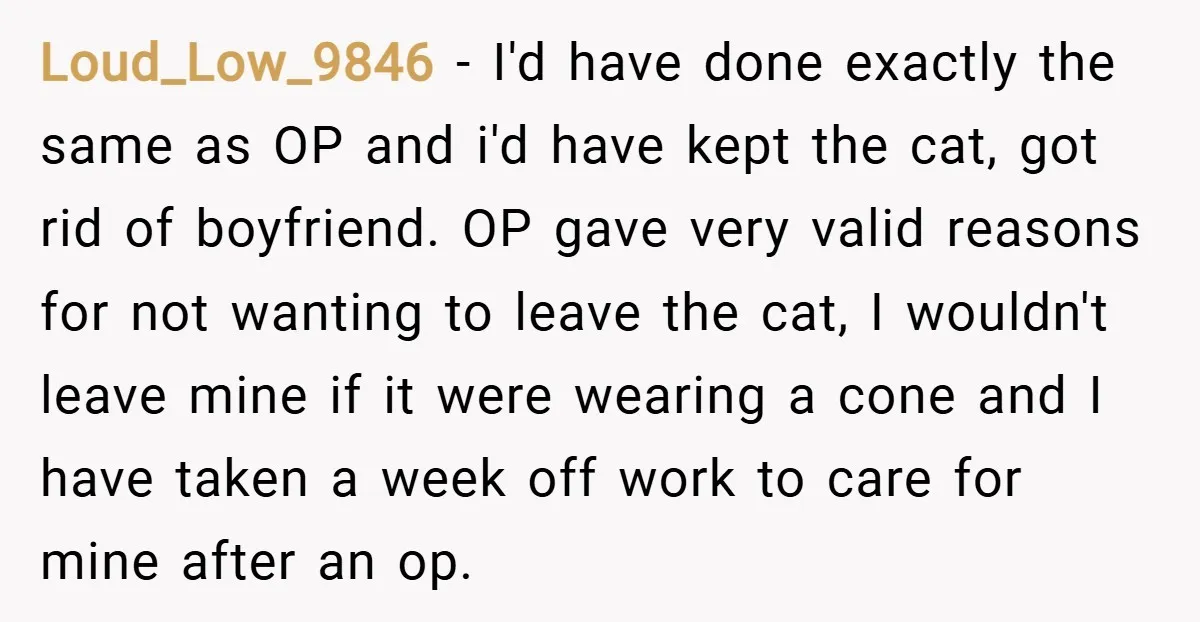 Loud_Low_9846 − I'd have done exactly the same as OP and i'd have kept the cat, got rid of boyfriend. OP gave very valid reasons for not wanting to leave...