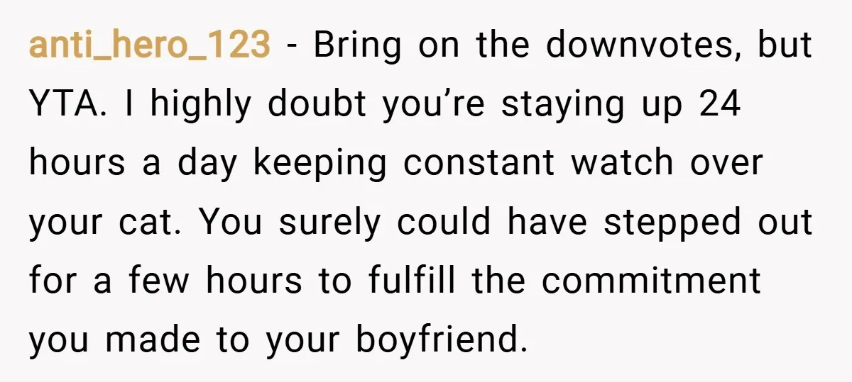 anti_hero_123 − Bring on the downvotes, but YTA. I highly doubt you’re staying up 24 hours a day keeping constant watch over your cat. You surely could have stepped out...
