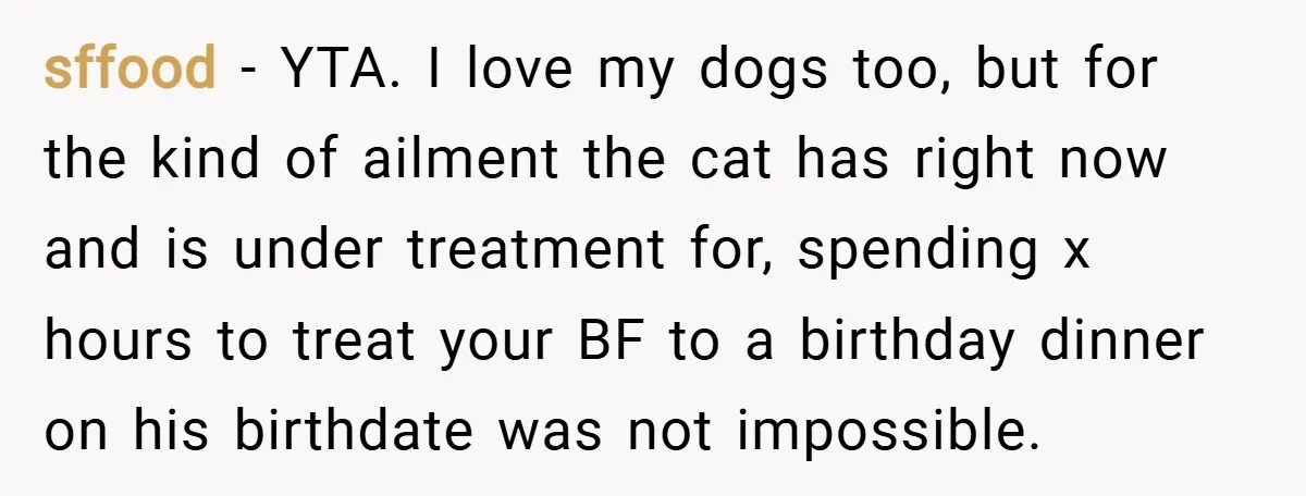 sffood − YTA. I love my dogs too, but for the kind of ailment the cat has right now and is under treatment for, spending x hours to treat your...