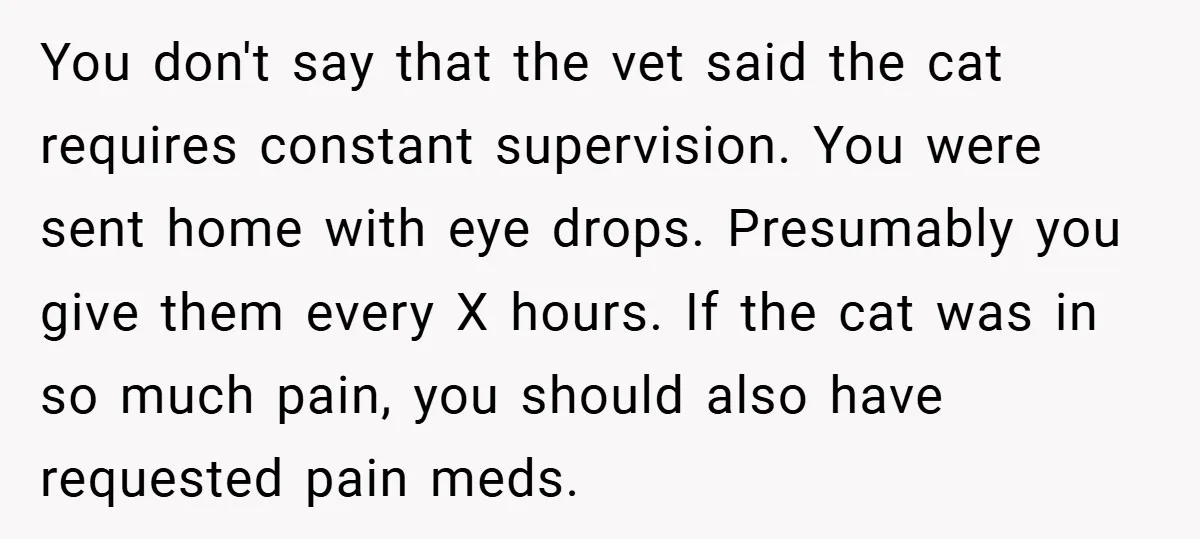 You don't say that the vet said the cat requires constant supervision. You were sent home with eye drops. Presumably you give them every X hours. If the cat was...