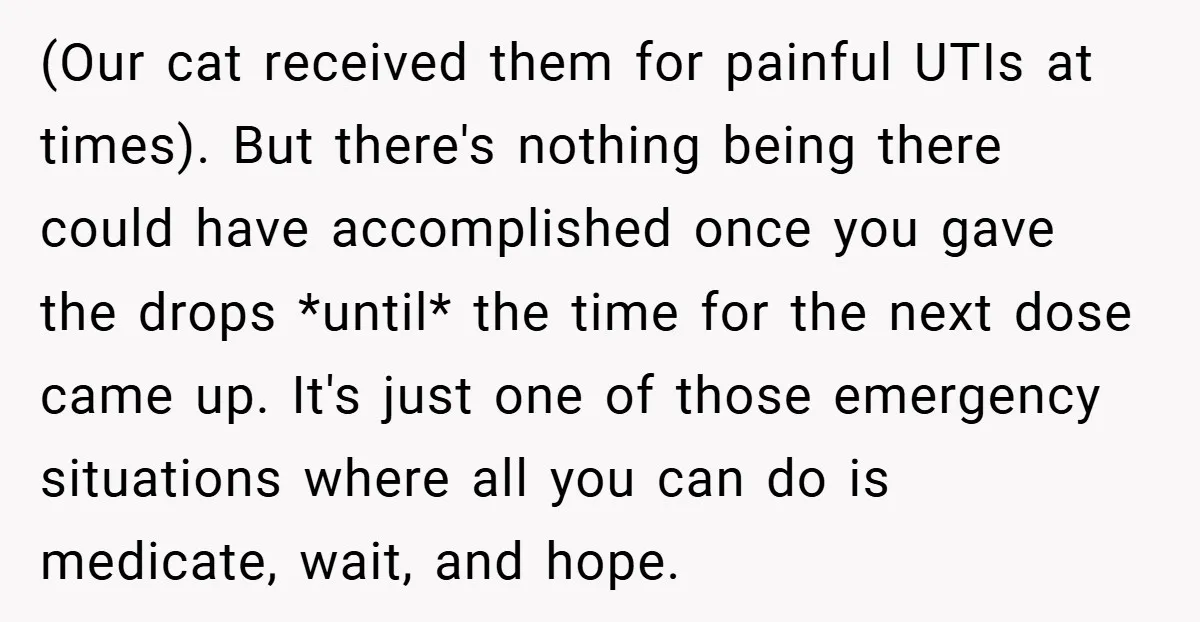(Our cat received them for painful UTIs at times). But there's nothing being there could have accomplished once you gave the drops *until* the time for the next dose came...
