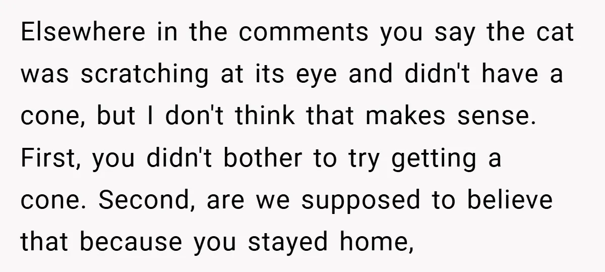 Elsewhere in the comments you say the cat was scratching at its eye and didn't have a cone, but I don't think that makes sense. First, you didn't bother to...