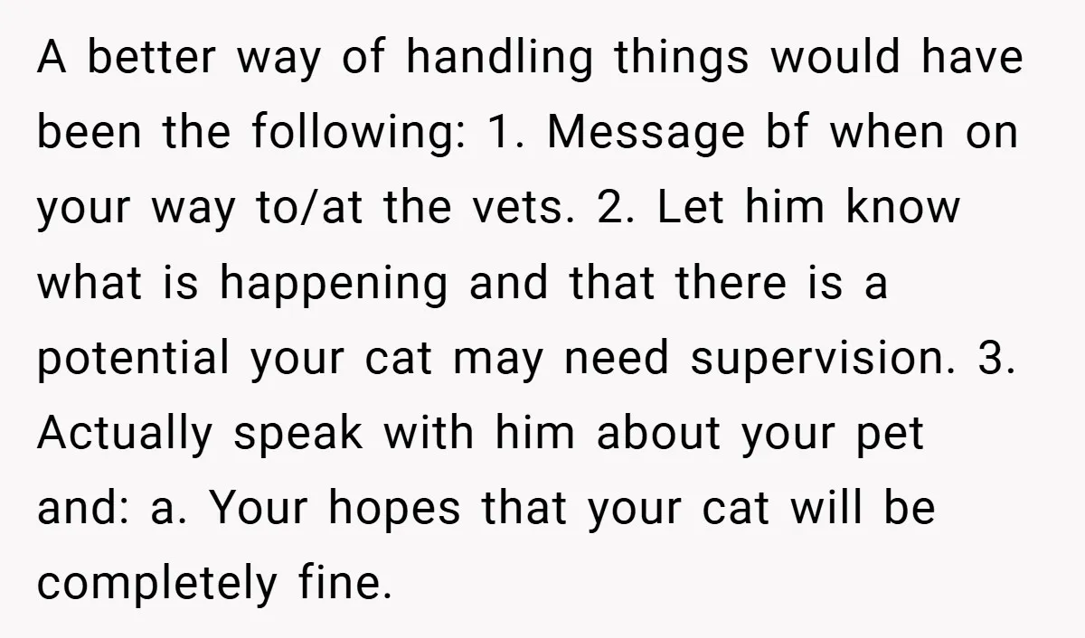 A better way of handling things would have been the following: 1. Message bf when on your way to/at the vets. 2. Let him know what is happening and that...