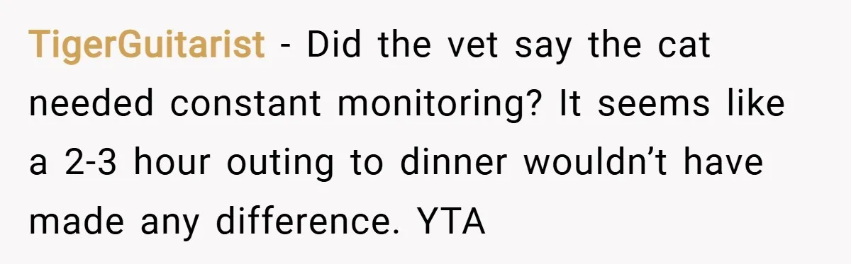 TigerGuitarist − Did the vet say the cat needed constant monitoring? It seems like a 2-3 hour outing to dinner wouldn’t have made any difference. YTA