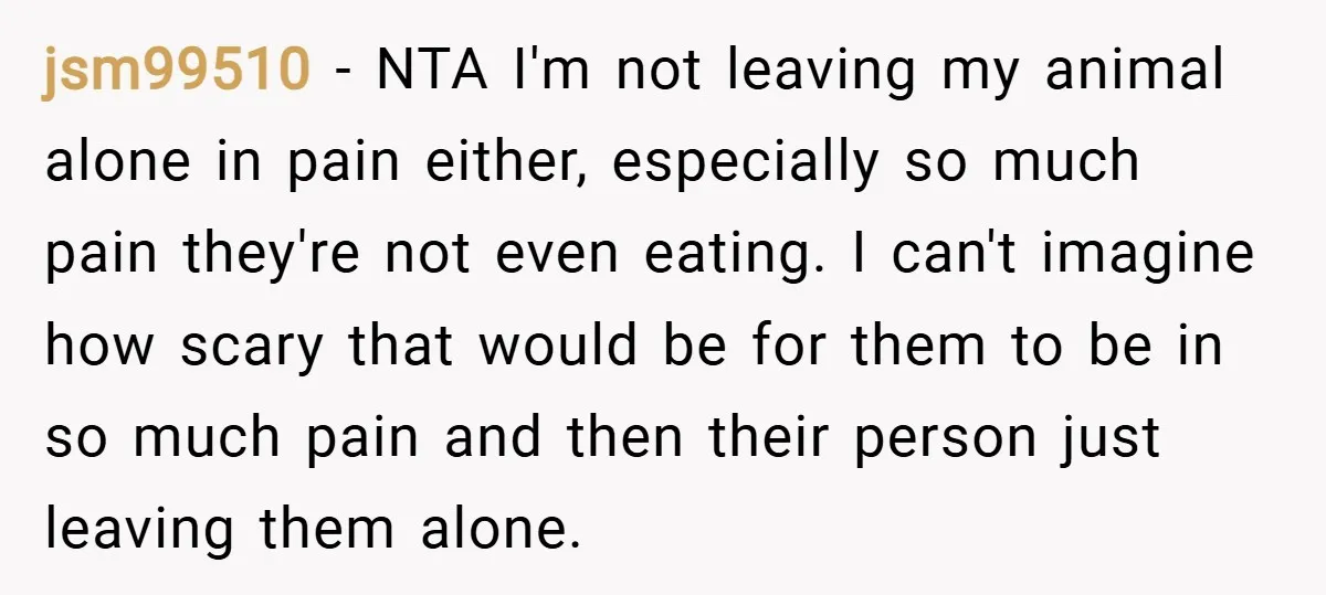 jsm99510 − NTA I'm not leaving my animal alone in pain either, especially so much pain they're not even eating. I can't imagine how scary that would be for them...