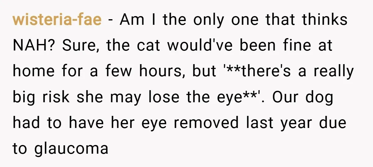 wisteria-fae − Am I the only one that thinks NAH? Sure, the cat would've been fine at home for a few hours, but '**there's a really big risk she may...