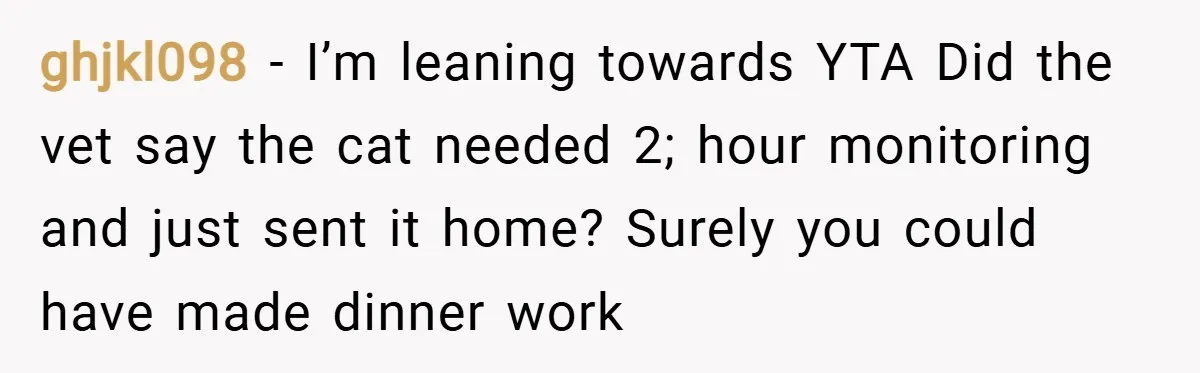 ghjkl098 − I’m leaning towards YTA Did the vet say the cat needed 2; hour monitoring and just sent it home? Surely you could have made dinner work