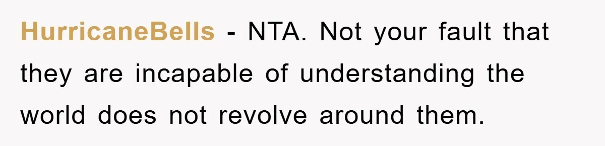 HurricaneBells − NTA. Not your fault that they are incapable of understanding the world does not revolve around them.