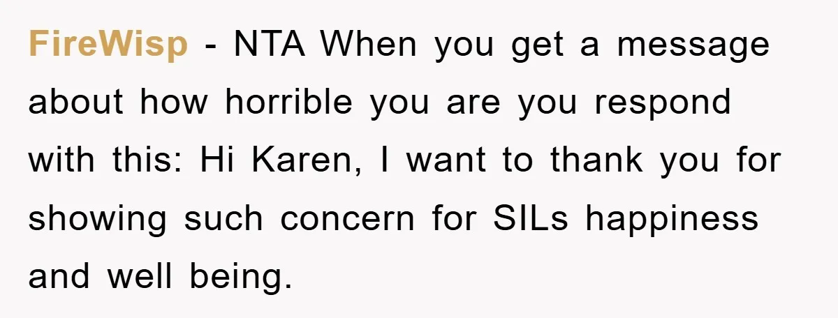 FireWisp − NTA When you get a message about how horrible you are you respond with this: Hi Karen, I want to thank you for showing such concern for SILs...