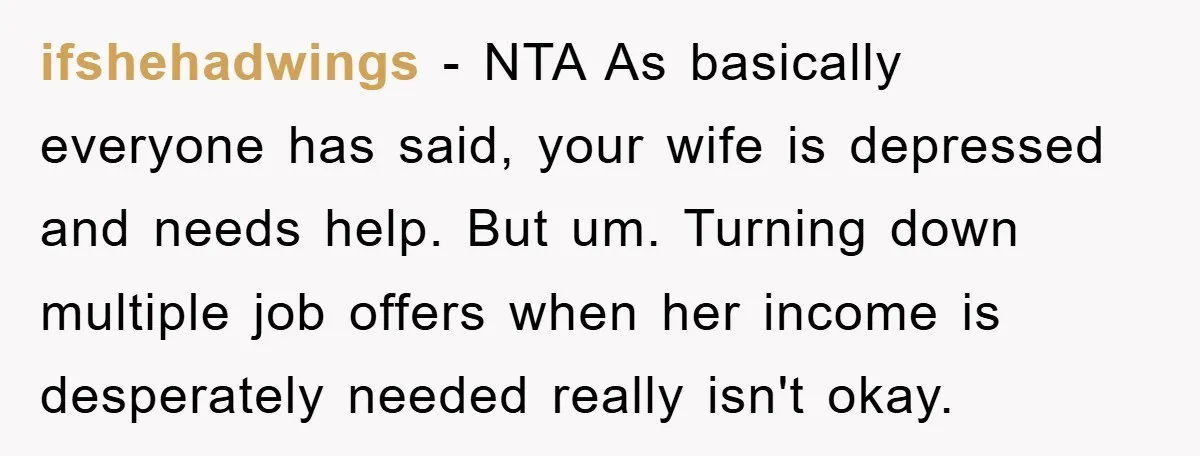 ifshehadwings − NTA As basically everyone has said, your wife is depressed and needs help. But um. Turning down multiple job offers when her income is desperately needed really isn't...