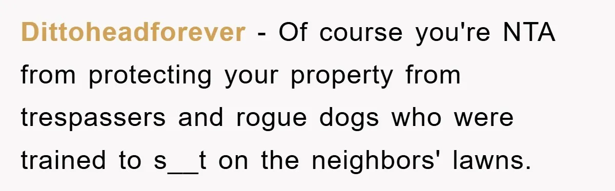 Dittoheadforever − Of course you're NTA from protecting your property from trespassers and rogue dogs who were trained to s__t on the neighbors' lawns.
