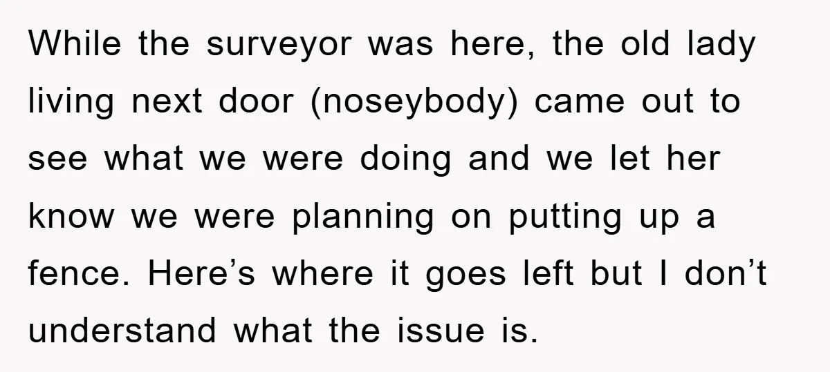 While the surveyor was here, the old lady living next door (noseybody) came out to see what we were doing and we let her know we were planning on putting...