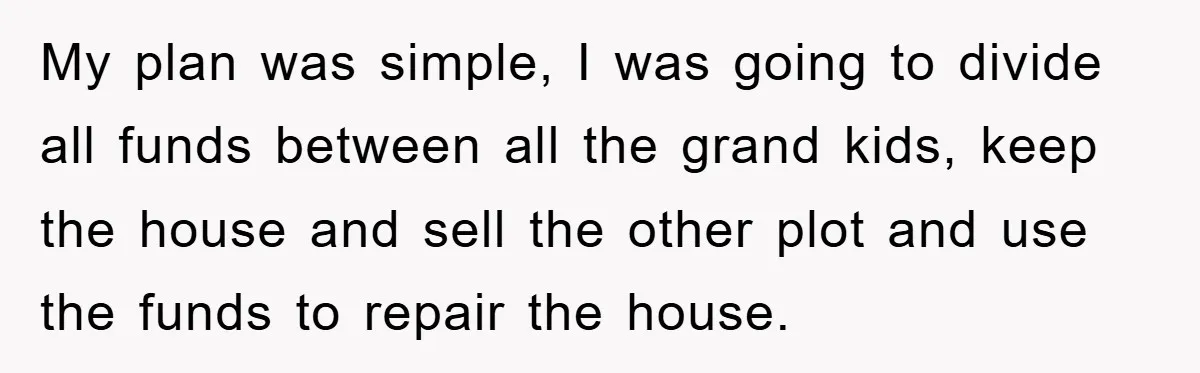 My plan was simple, I was going to divide all funds between all the grand kids, keep the house and sell the other plot and use the funds to repair...