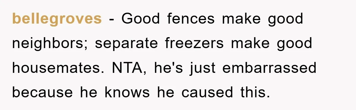 bellegroves − Good fences make good neighbors; separate freezers make good housemates. NTA, he's just embarrassed because he knows he caused this.