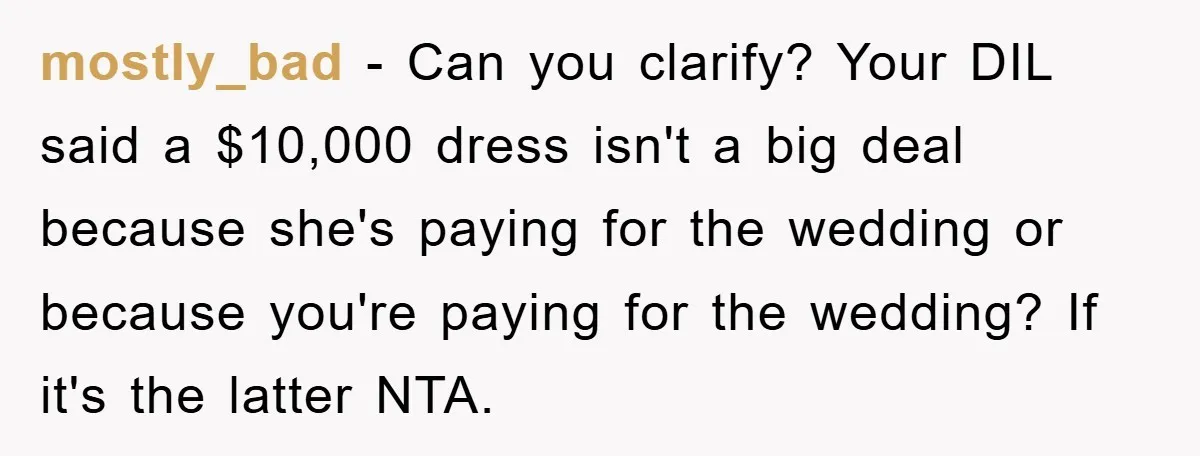 mostly_bad − Can you clarify? Your DIL said a $10,000 dress isn't a big deal because she's paying for the wedding or because you're paying for the wedding? If it's...