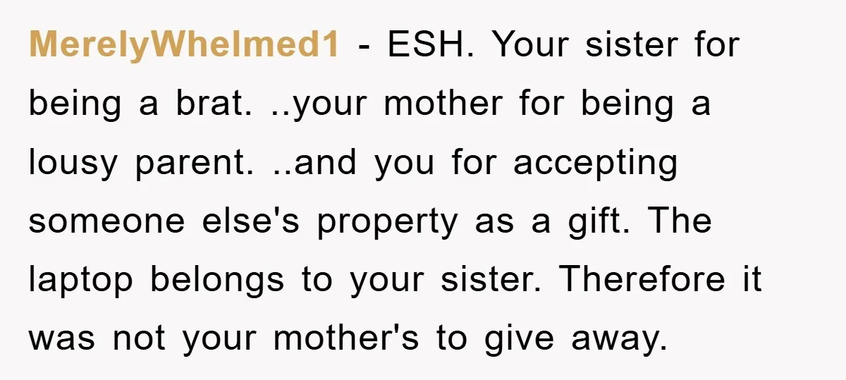MerelyWhelmed1 − ESH. Your sister for being a brat. ..your mother for being a lousy parent. ..and you for accepting someone else's property as a gift. The laptop belongs to...