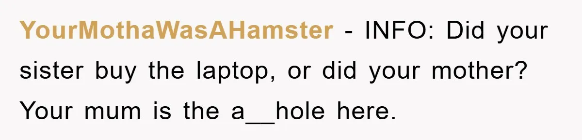 YourMothaWasAHamster − INFO: Did your sister buy the laptop, or did your mother? Your mum is the a__hole here.