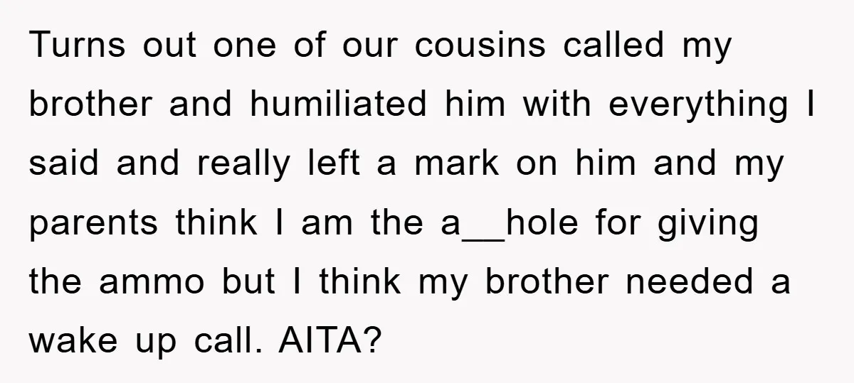 Turns out one of our cousins called my brother and humiliated him with everything I said and really left a mark on him and my parents think I am the...