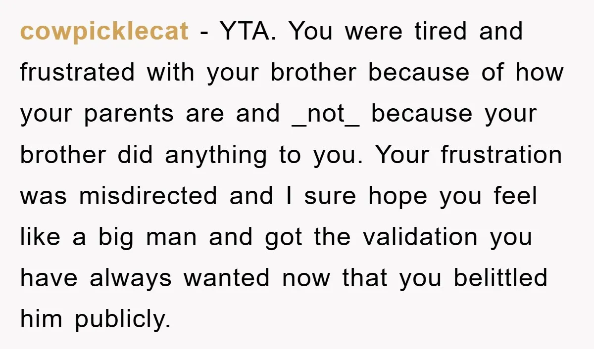 cowpicklecat − YTA. You were tired and frustrated with your brother because of how your parents are and _not_ because your brother did anything to you. Your frustration was misdirected...