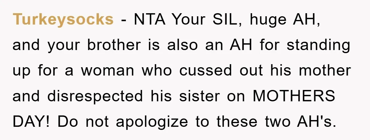 Turkeysocks − NTA Your SIL, huge AH, and your brother is also an AH for standing up for a woman who cussed out his mother and disrespected his sister on...
