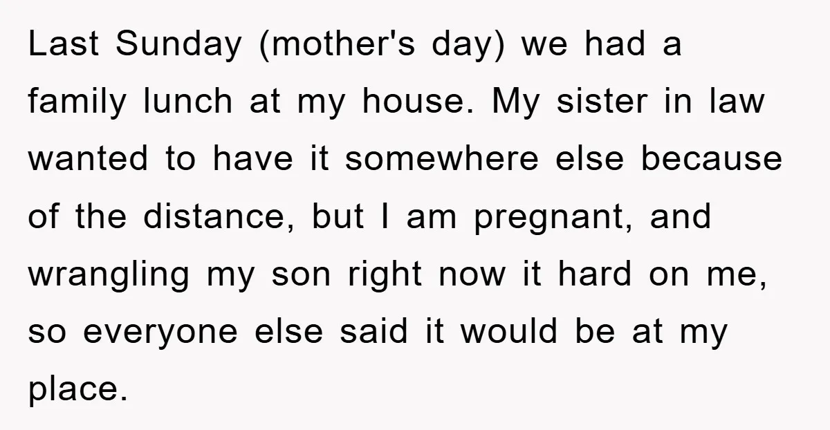 Last Sunday (mother's day) we had a family lunch at my house. My sister in law wanted to have it somewhere else because of the distance, but I am pregnant,...