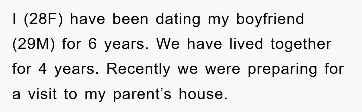 I (28F) have been dating my boyfriend (29M) for 6 years. We have lived together for 4 years. Recently we were preparing for a visit to my parent’s house.