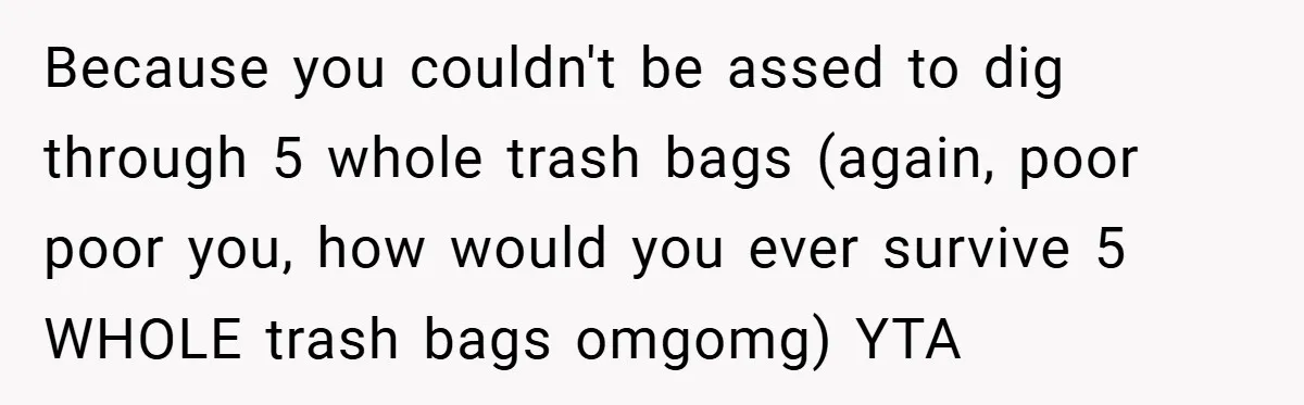 Because you couldn't be assed to dig through 5 whole trash bags (again, poor poor you, how would you ever survive 5 WHOLE trash bags omgomg) YTA