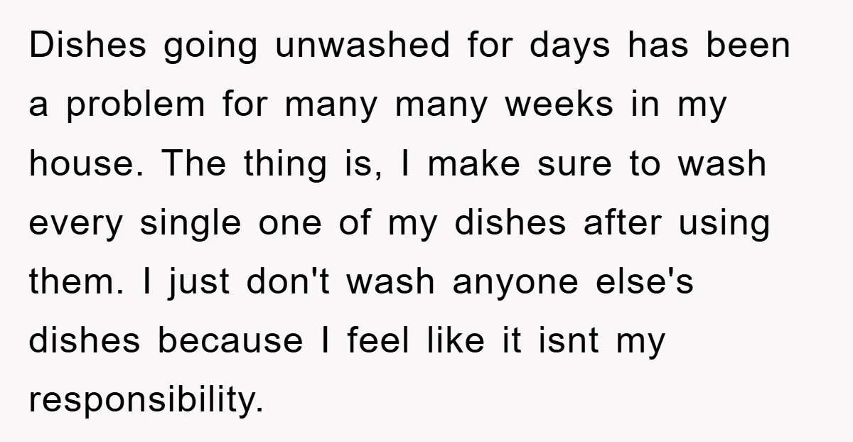 Dishes going unwashed for days has been a problem for many many weeks in my house. The thing is, I make sure to wash every single one of my dishes...