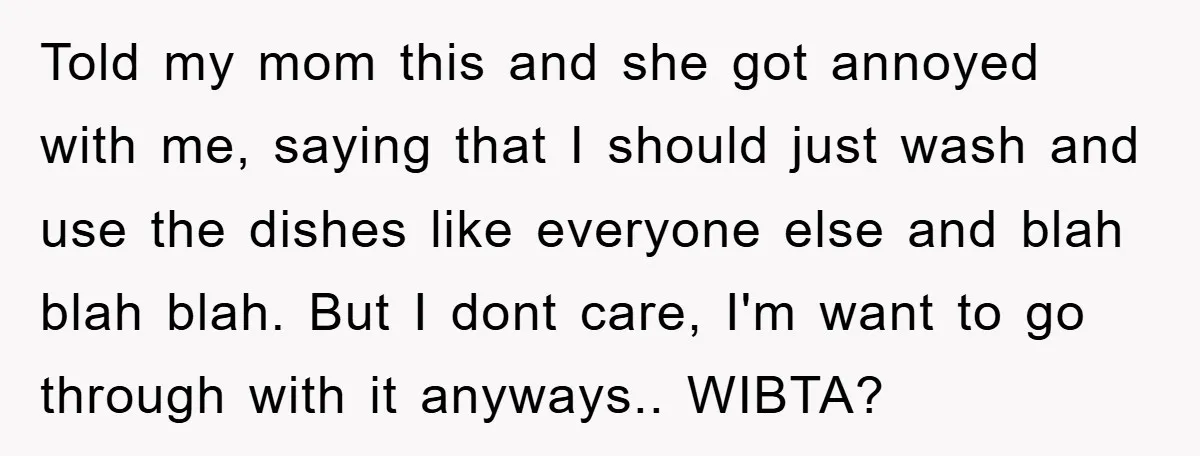 Told my mom this and she got annoyed with me, saying that I should just wash and use the dishes like everyone else and blah blah blah. But I dont...