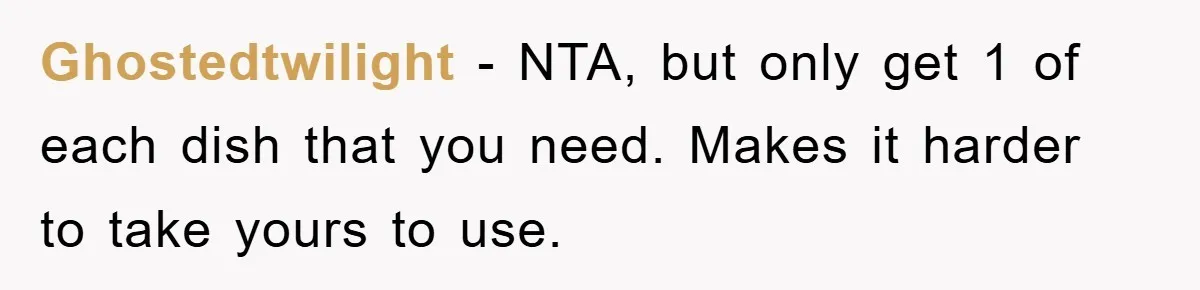 Ghostedtwilight − NTA, but only get 1 of each dish that you need. Makes it harder to take yours to use.