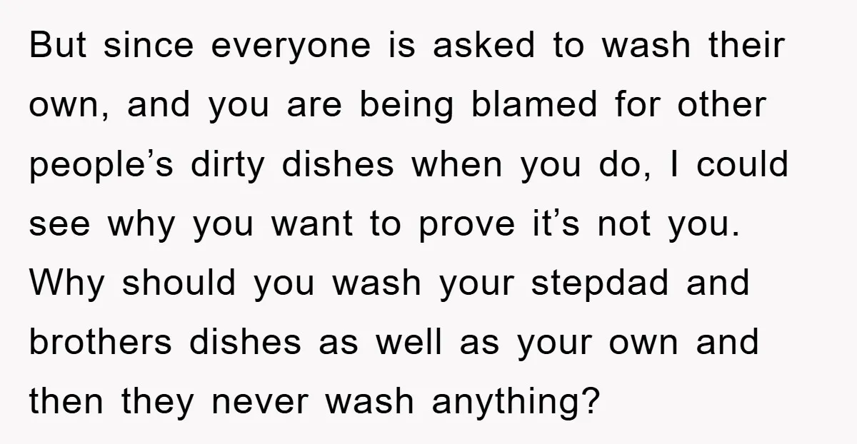 But since everyone is asked to wash their own, and you are being blamed for other people’s dirty dishes when you do, I could see why you want to prove...