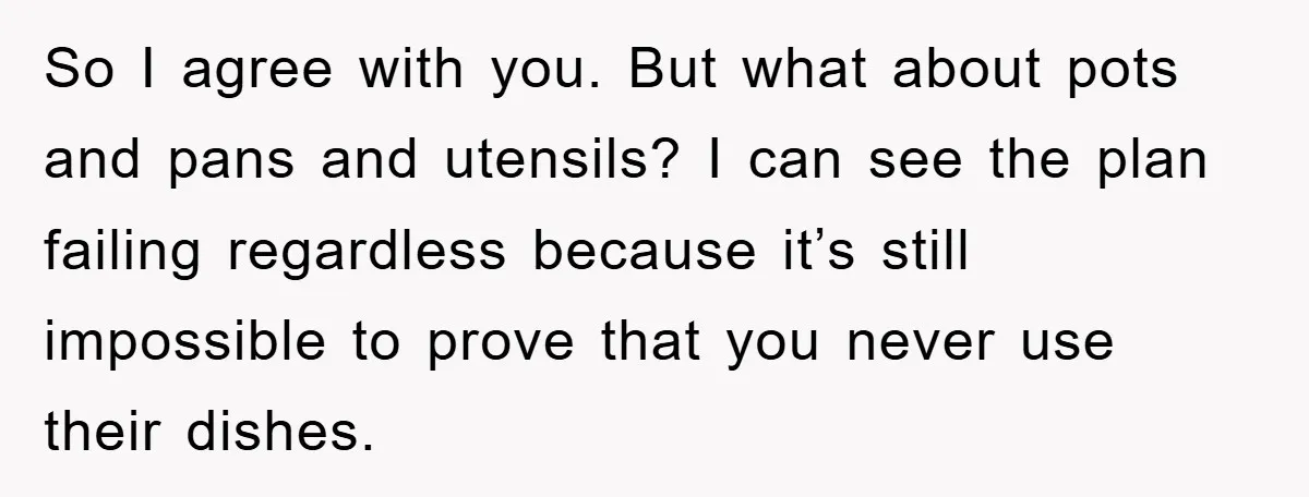 So I agree with you. But what about pots and pans and utensils? I can see the plan failing regardless because it’s still impossible to prove that you never use...