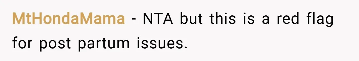 MtHondaMama − NTA but this is a red flag for post partum issues.