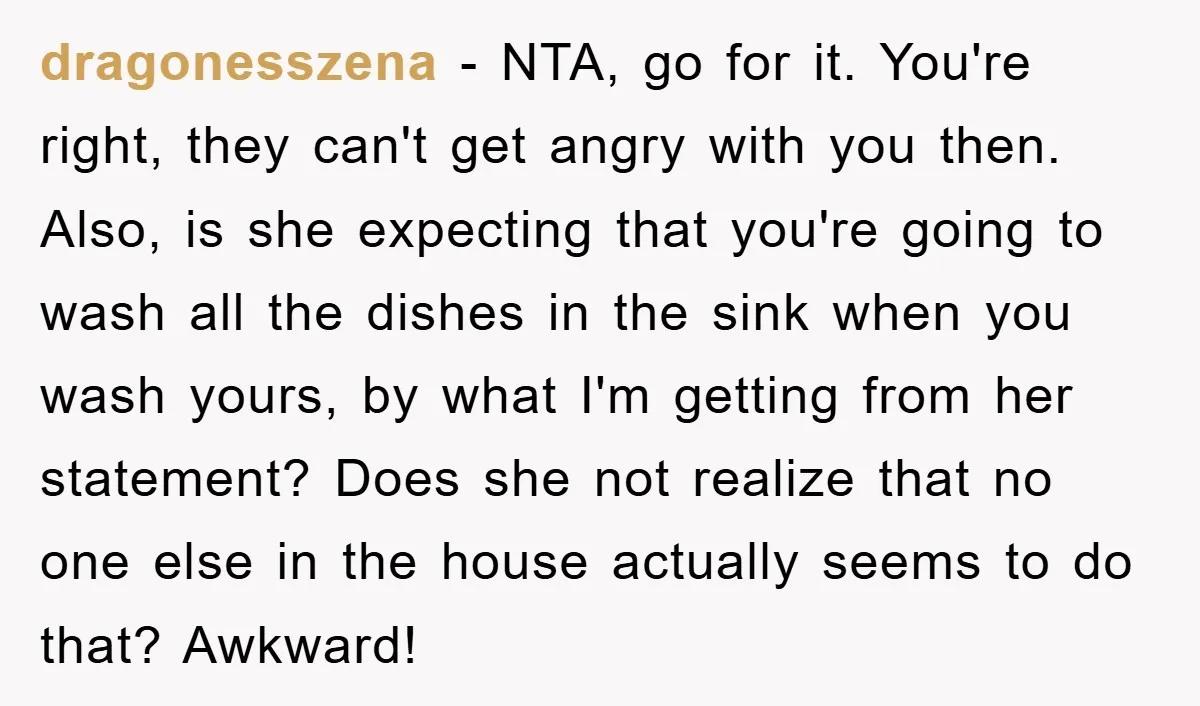 dragonesszena − NTA, go for it. You're right, they can't get angry with you then. Also, is she expecting that you're going to wash all the dishes in the sink...