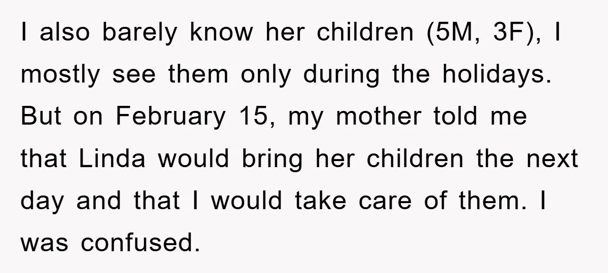 I also barely know her children (5M, 3F), I mostly see them only during the holidays. But on February 15, my mother told me that Linda would bring her children...