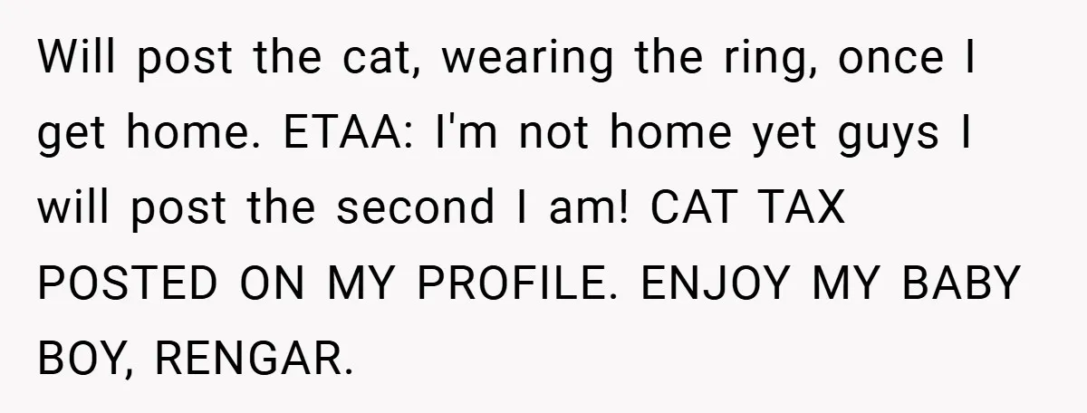 Will post the cat, wearing the ring, once I get home. ETAA: I'm not home yet guys I will post the second I am! CAT TAX POSTED ON MY PROFILE....