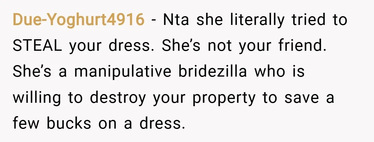 Due-Yoghurt4916 − Nta she literally tried to STEAL your dress. She’s not your friend. She’s a manipulative bridezilla who is willing to destroy your property to save a few bucks...