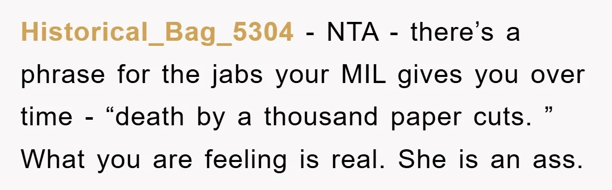 Historical_Bag_5304 − NTA - there’s a phrase for the jabs your MIL gives you over time - “death by a thousand paper cuts. ” What you are feeling is real....