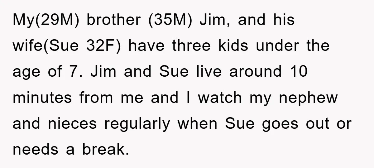 My(29M) brother (35M) Jim, and his wife(Sue 32F) have three kids under the age of 7. Jim and Sue live around 10 minutes from me and I watch my nephew...