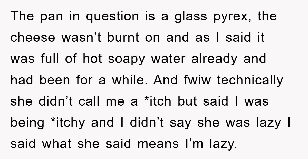 The pan in question is a glass pyrex, the cheese wasn’t burnt on and as I said it was full of hot soapy water already and had been for a...
